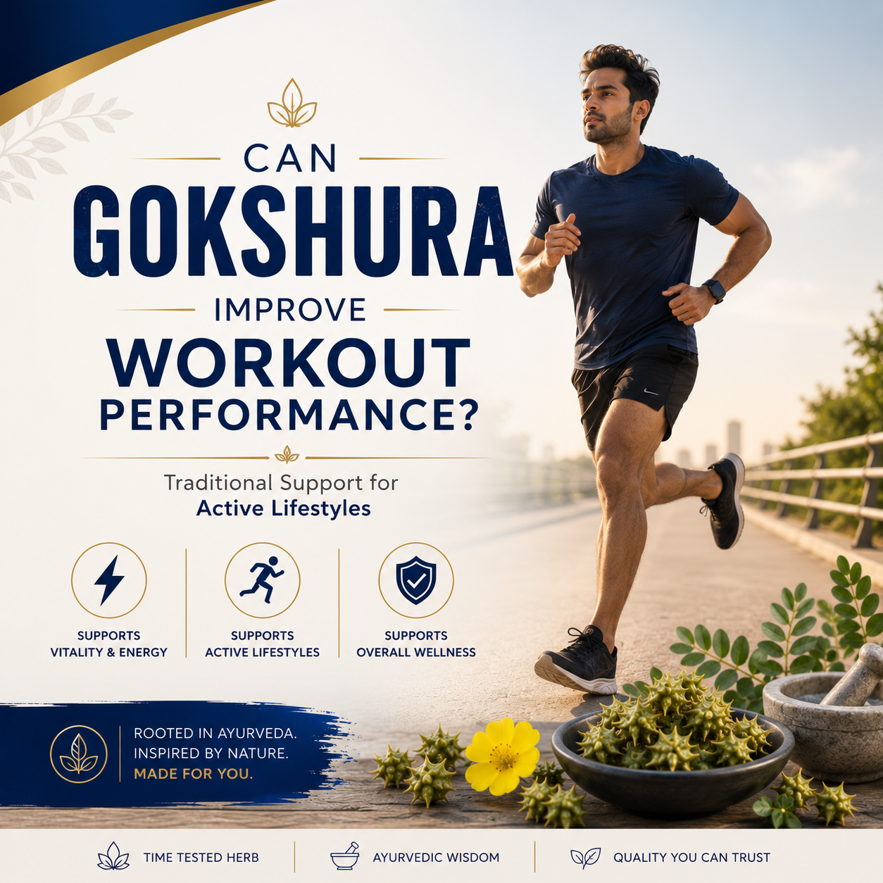 Can Gokshura Improve Workout Performance?