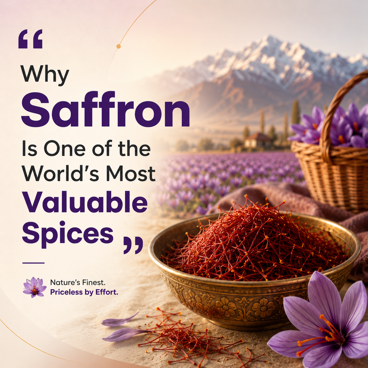 Why Saffron Is One of the World's Most Valuable Spices