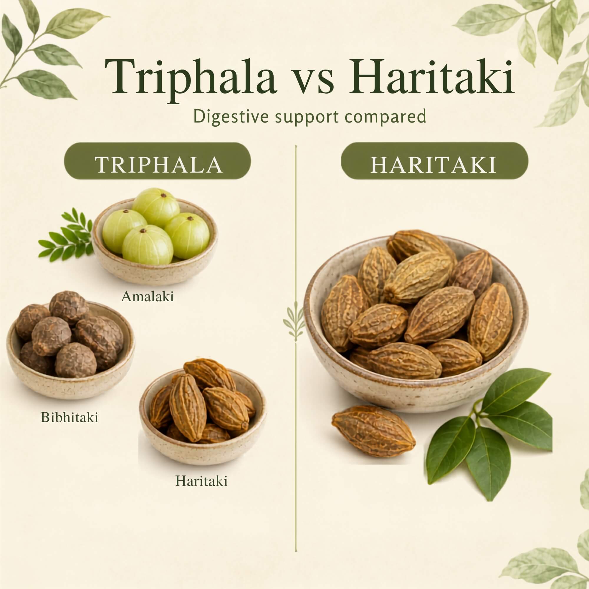 Triphala vs Haritaki Which Is Better for Daily Digestive Support