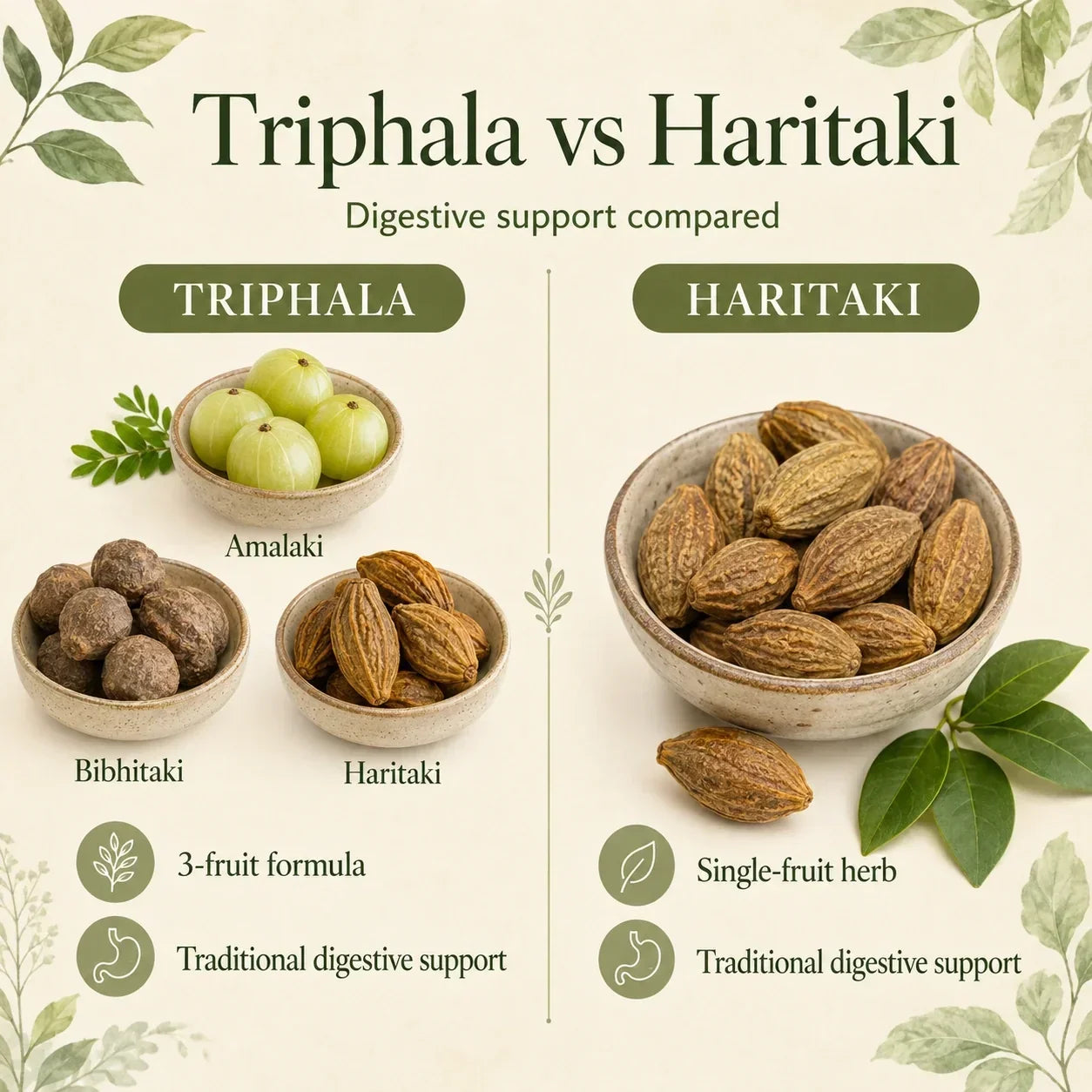 Triphala vs Haritaki: Which Is Better for Daily Digestive Support?