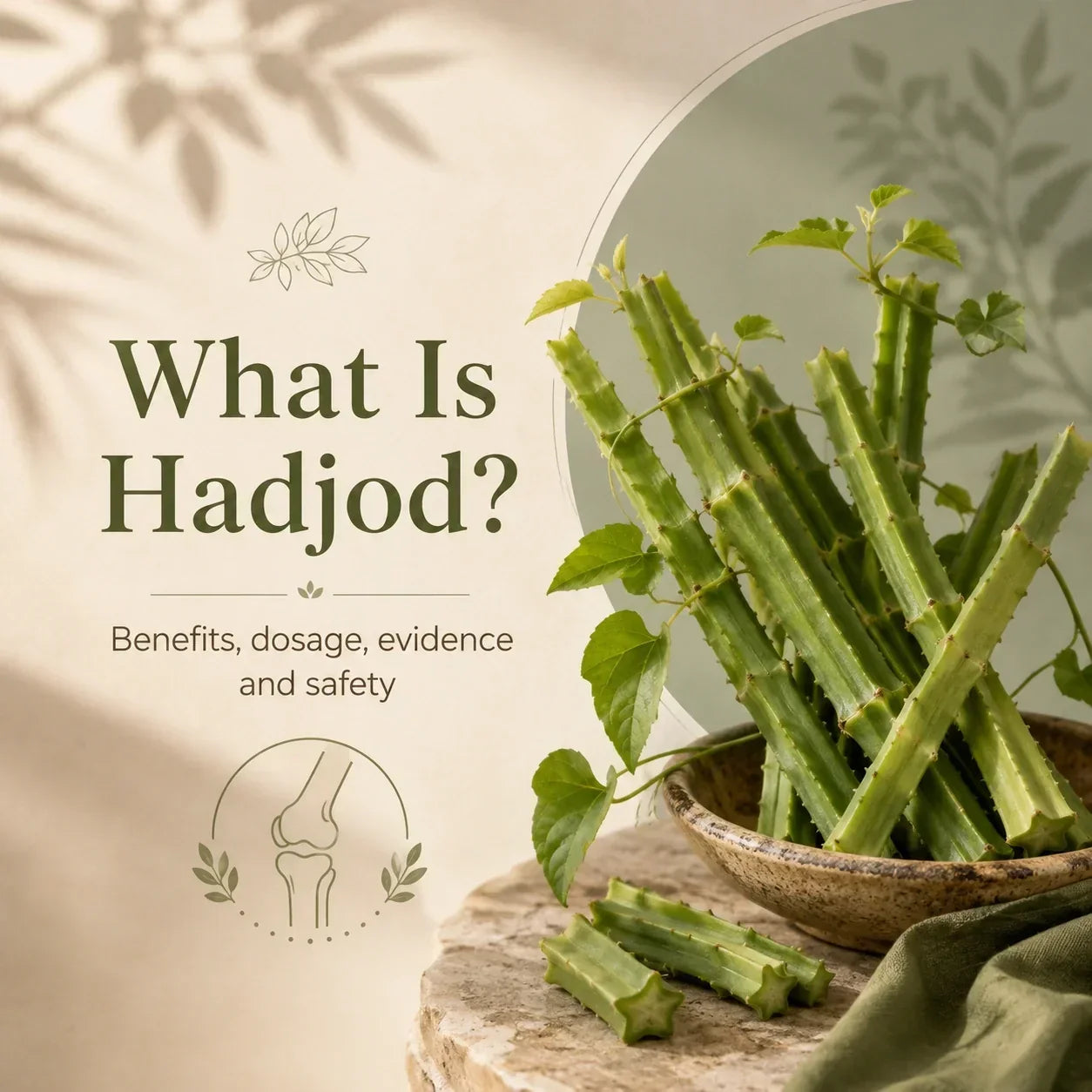 What Is Hadjod? Benefits, Dosage, Evidence and Side Effects