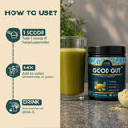 Organic Spree Good Gut Powder – 150 g (5.3oz) | USDA Organic Certified