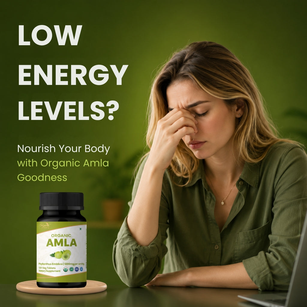 Organic Spree Amla 120 Tablets - Organic Certified
