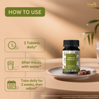 Organic Spree Kaishor Guggulu 120 Tablets - GMP certified