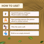 Organic Spree Paneer Dodi Phool 150gm (5.29oz) - Withania Coagulans