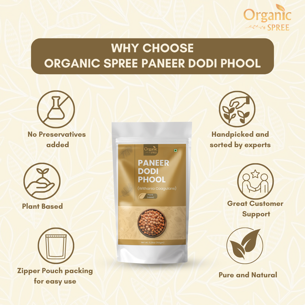 Organic Spree Paneer Dodi Phool 150gm (5.29oz) - Withania Coagulans