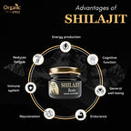 Organic Spree Shilajit Resin 20gm (0.70oz) 85+ Trace Minerals, More Than 75% Fulvic Acid