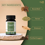 Organic Spree Trayodashang Guggulu 120 Tablets - Supports Joint and Muscle Health* - Ayurvedic Formulation - Certified and Vegetarian (1)