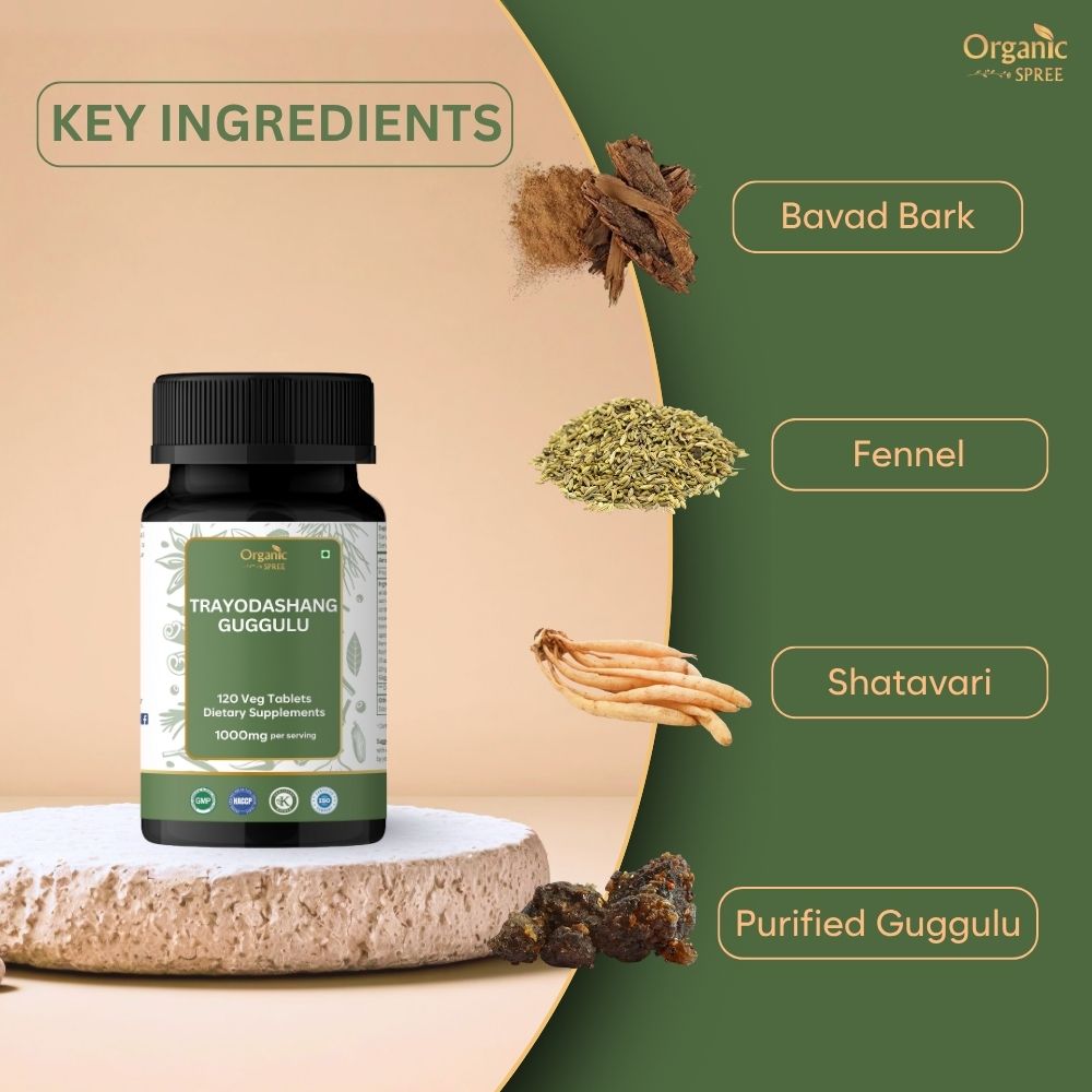 Organic Spree Trayodashang Guggulu 120 Tablets - Supports Joint and Muscle Health* - Ayurvedic Formulation - Certified and Vegetarian (1)
