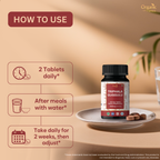 Organic Spree Triphala Guggulu 120 Tablets - GMP Certified