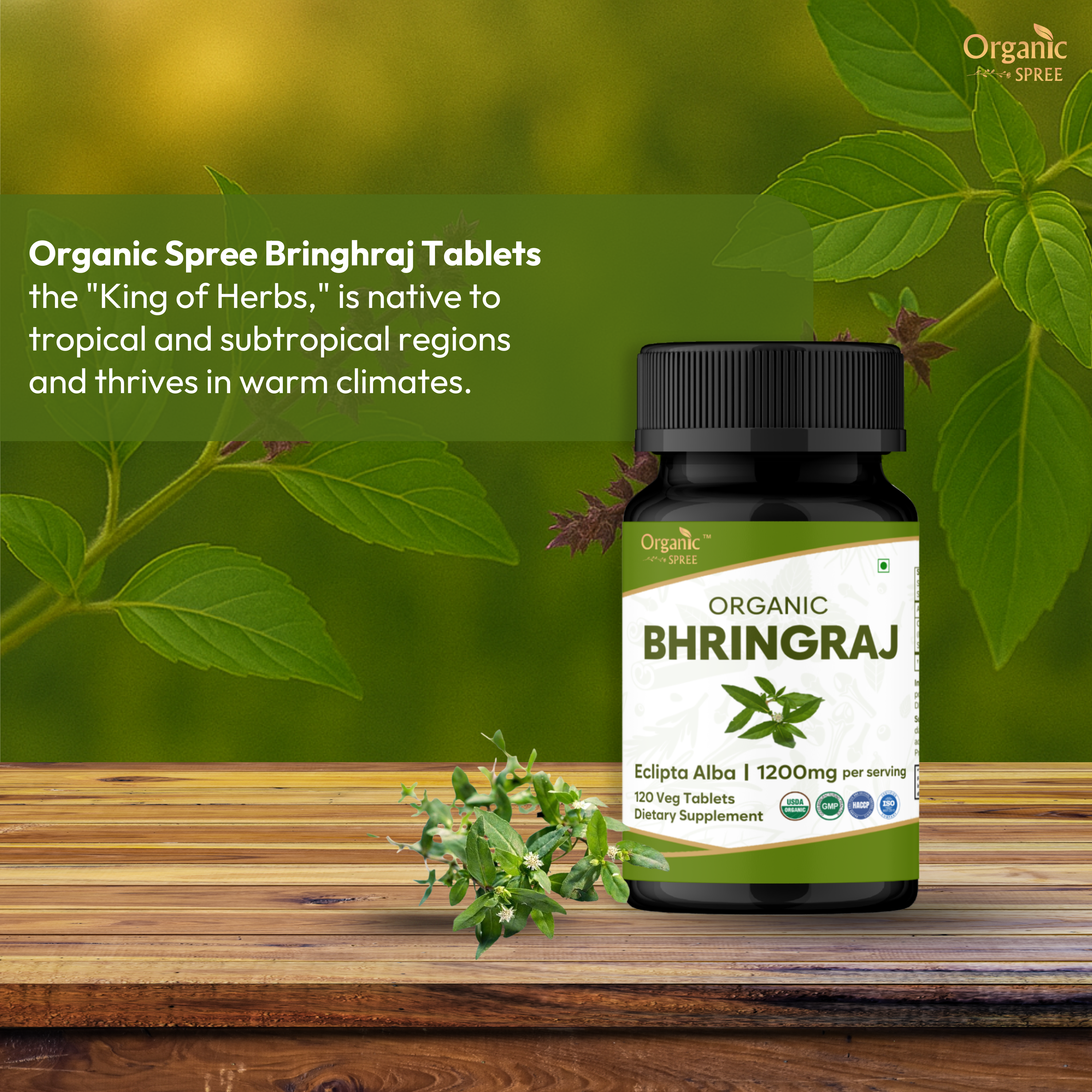 Bhringraj 120 Tablets bottle – USDA Organic, GMP and Organic certified ayurvedic hair supplement