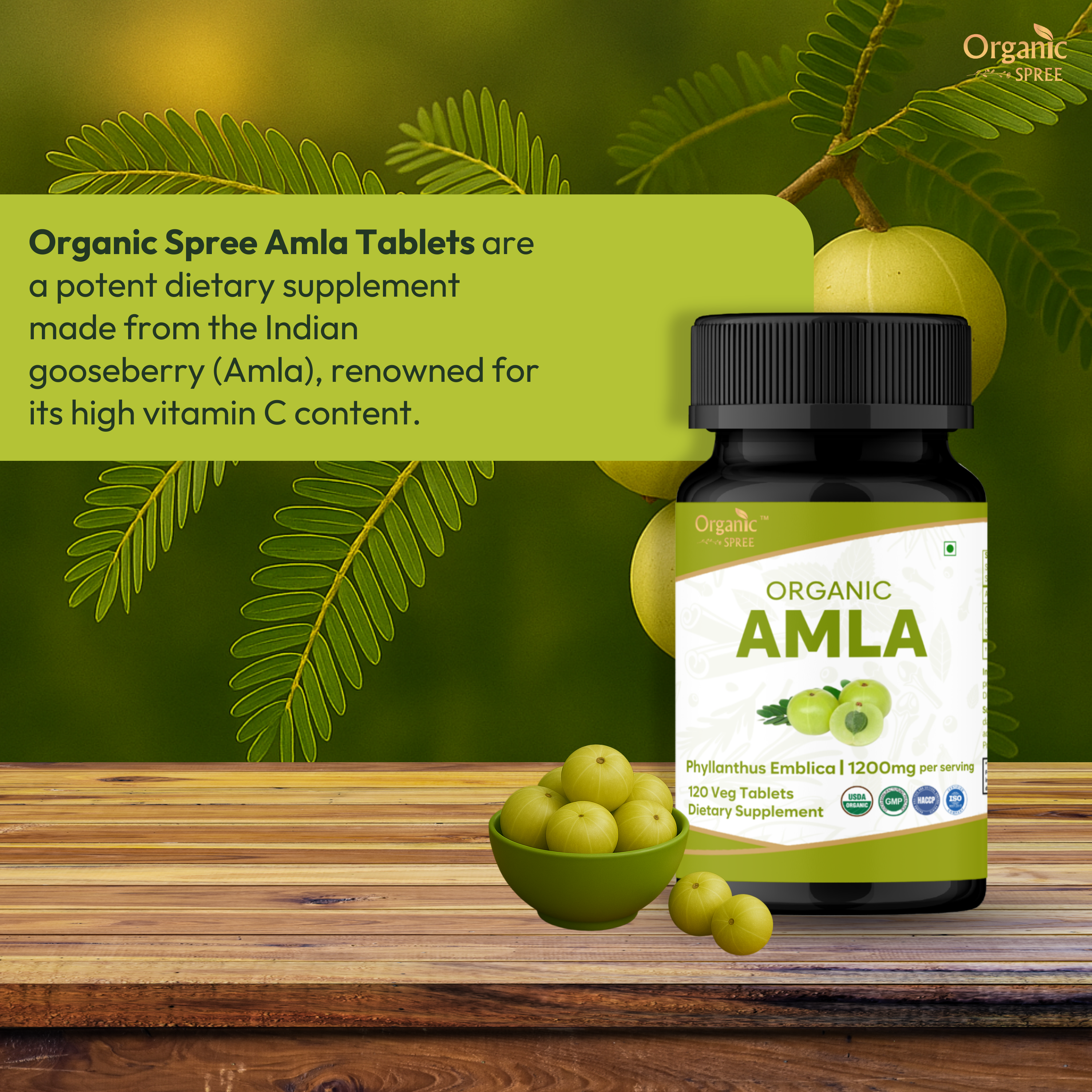 Organic Spree Amla 120 Tablets bottle – USDA Organic, GMP certified ayurvedic supplement
