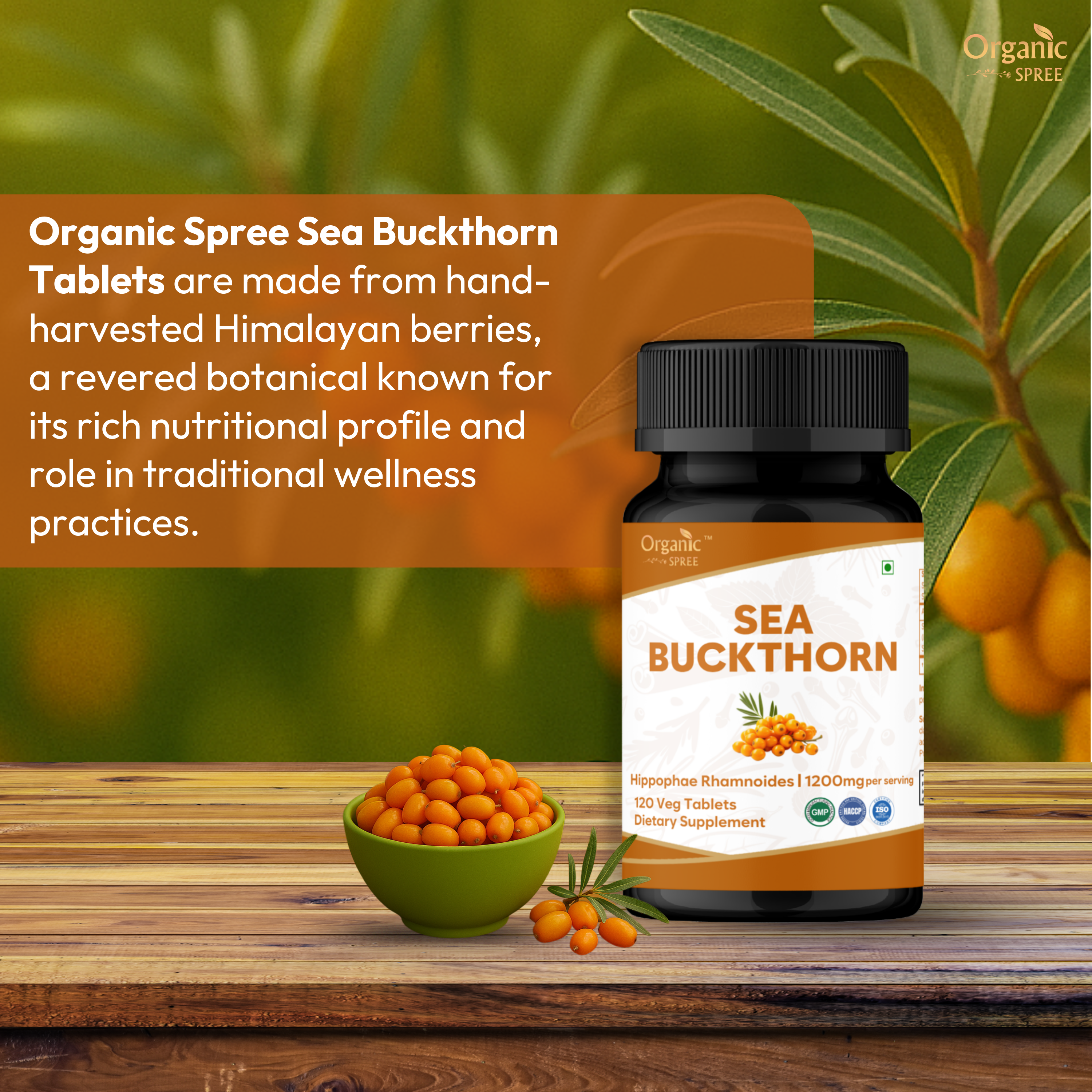 Sea Buckthorn 120 Tablets bottle – GMP and ISO certified supplement rich in omega fatty acids
