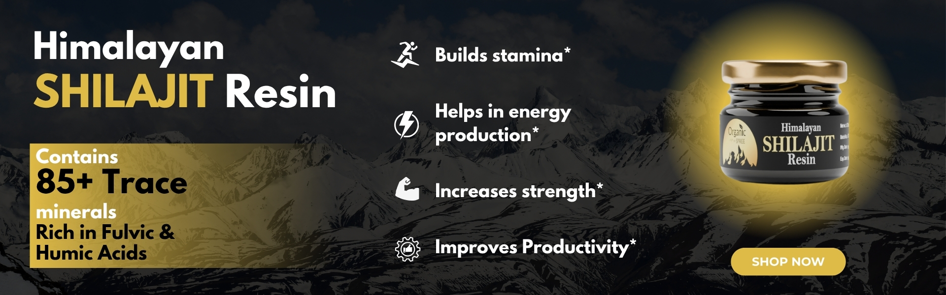 shilajit banner