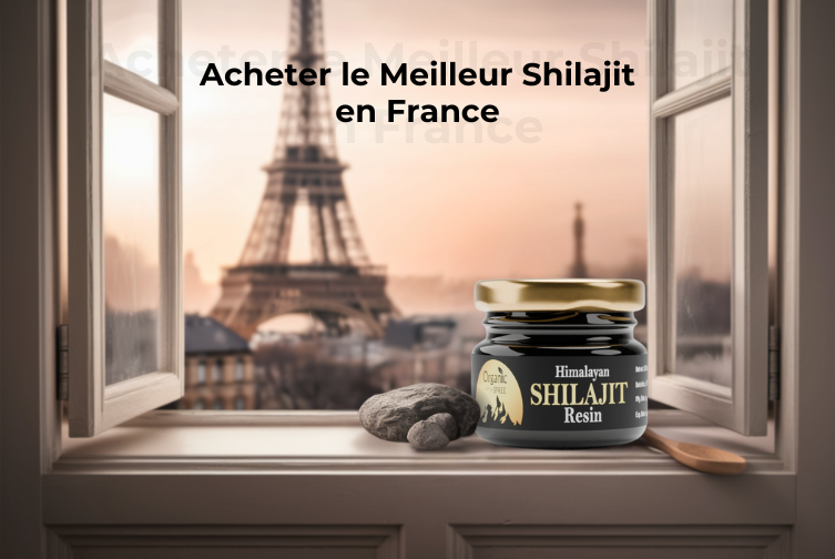 Achetez le Meilleur Shilajit en France en 2025 | Organic Spree