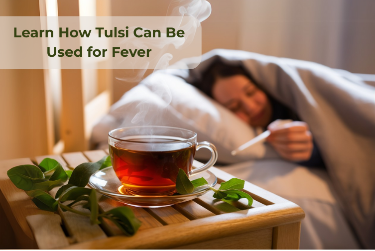 Learn How Can Tulsi Be Used for Fever in 2025 | Organic Spree