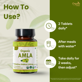 Organic Spree Amla 120 Tablets - Organic Certified