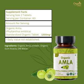 Organic Spree Amla 120 Tablets - Organic Certified