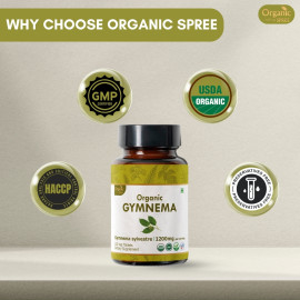 Organic Spree Gymnema 120 Tablets - Organic Certified