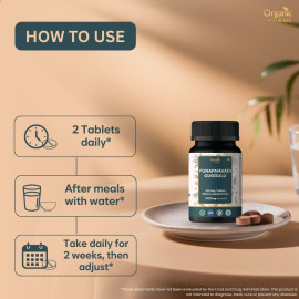Organic Spree Punarnavadi Guggulu 120 Tablets - GMP Certified